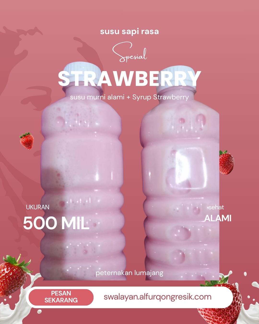 WR.MARIRASO_ Susu sapi Stroberry