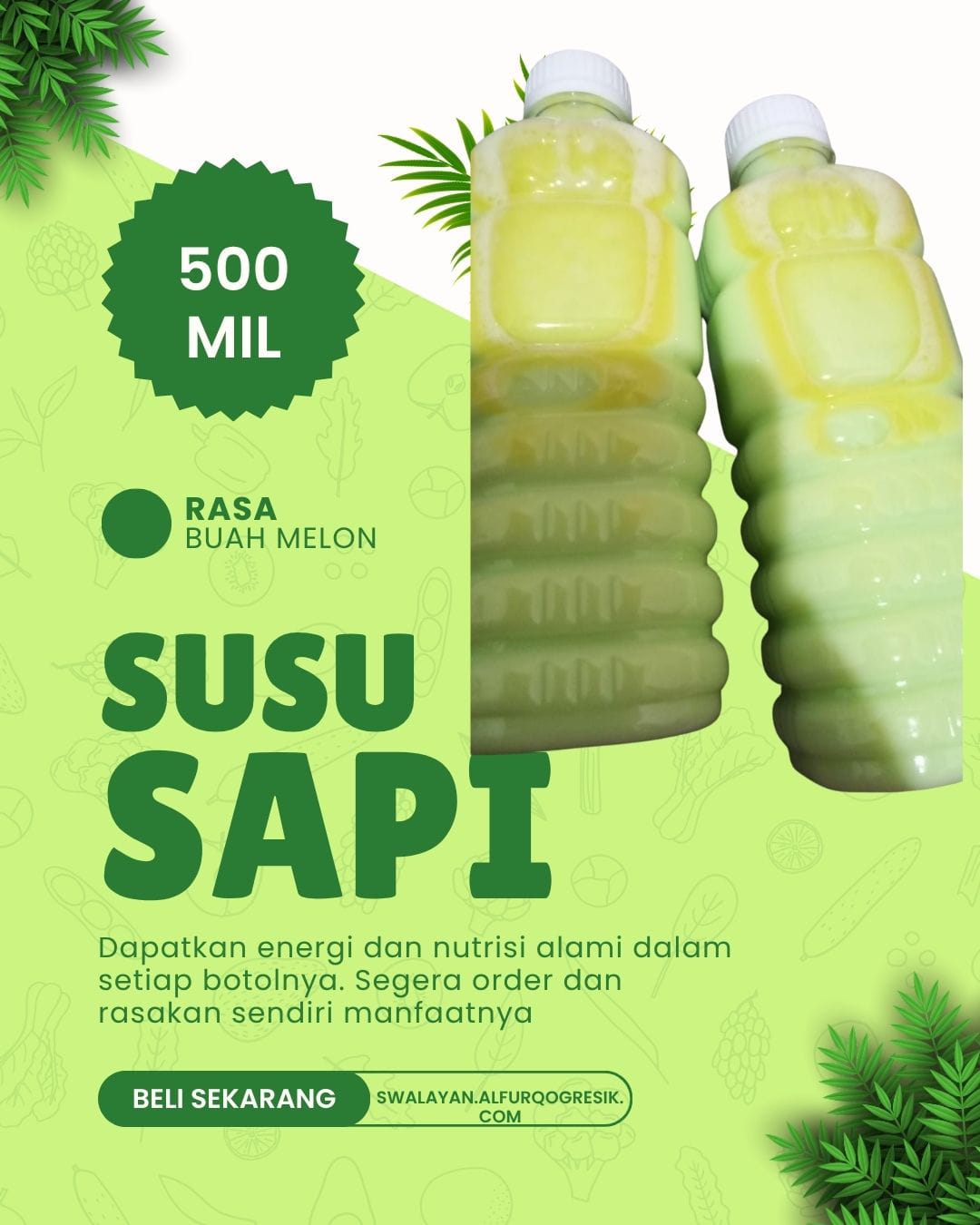 WR.MARIRASO_ Susu sapi Melon